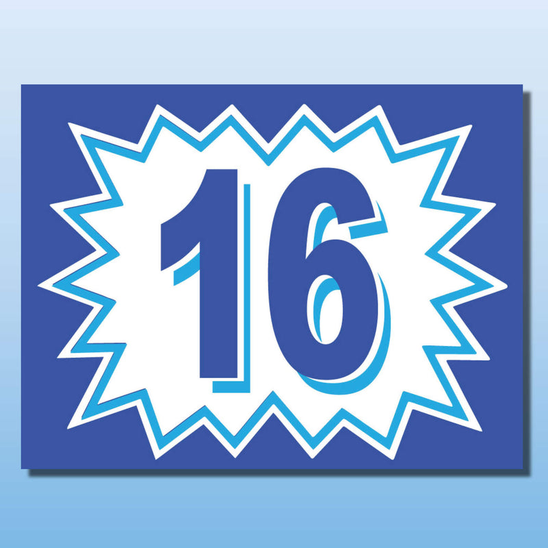 Vinyl Burst Year Decals 2 Digit Blue, White or Green, Black