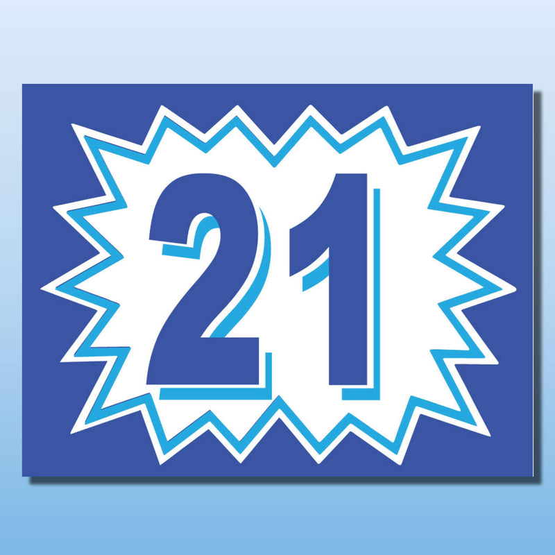 Vinyl Burst Year Decals 2 Digit Blue, White or Green, Black