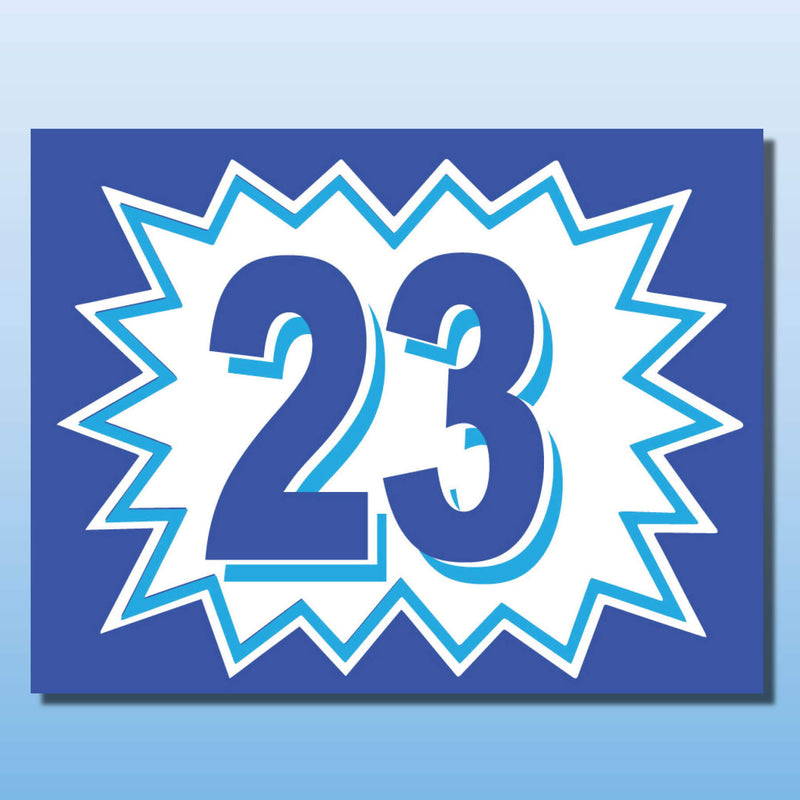 Vinyl Burst Year Decals 2 Digit Blue, White or Green, Black