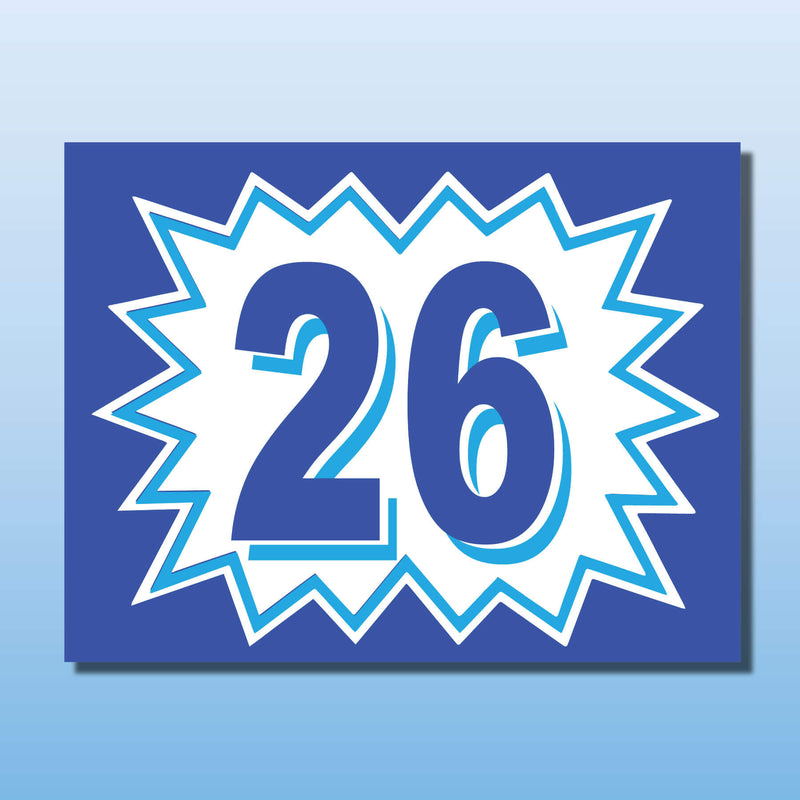 Vinyl Burst Year Decals 2 Digit Blue, White or Green, Black Discontinued older years (SALE)