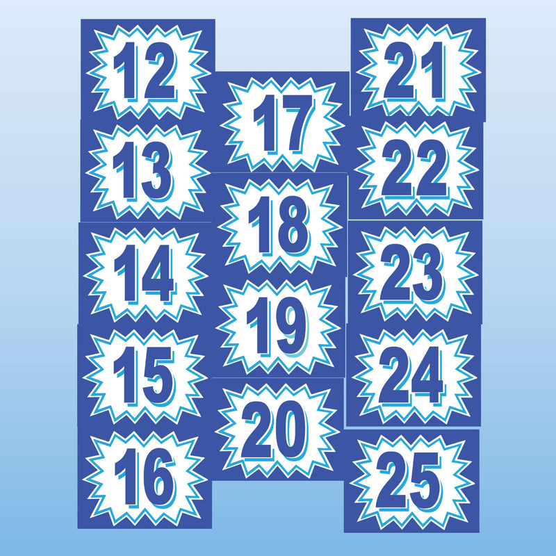 Vinyl Burst Year Decals 2 Digit Blue, White or Green, Black