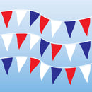 Plastic Cloth Fluorescent Pennants