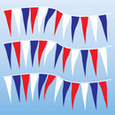 Plastic Cloth Fluorescent Pennants