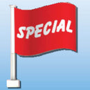 Slogans and Checkered Double-pane Clip-On Flags