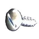 #477 License Plate Screws Slotted