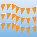 Plastic Cloth Fluorescent Pennants