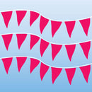 Plastic Cloth Fluorescent Pennants